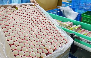市面上紙罐包裝價格波動大嗎？