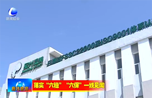 新聞采訪｜疫情下，軍興溢美如何在危機中求發(fā)展？